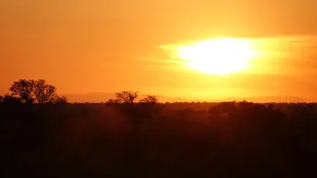 African safari photograph by From Dreams To Africa