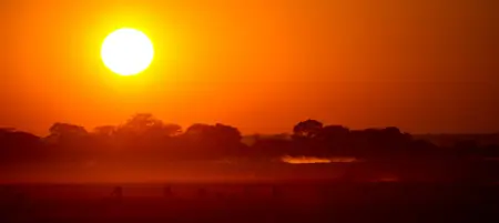 African safari photograph by From Dreams To Africa
