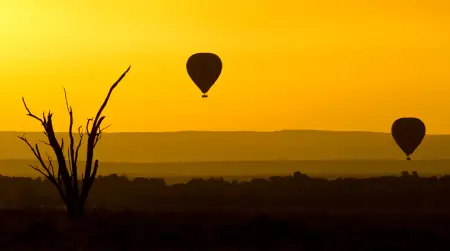 African safari photograph by From Dreams To Africa
